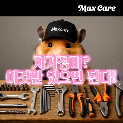 배너이미지